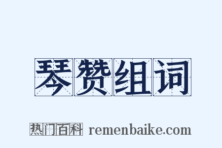 琴赞组词是什么意思的图片
